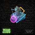 ZEUS